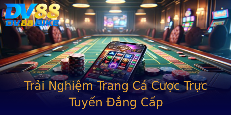 Trải Nghiệm Trang Cá Cược Trực Tuyến Đẳng Cấp Trải Nghiệm Trang Cá Cược Trực Tuyến Đẳng Cấp